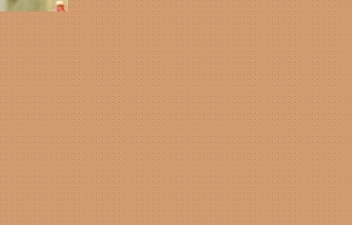 ľ