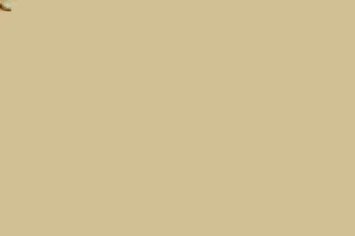 Ӣľ־