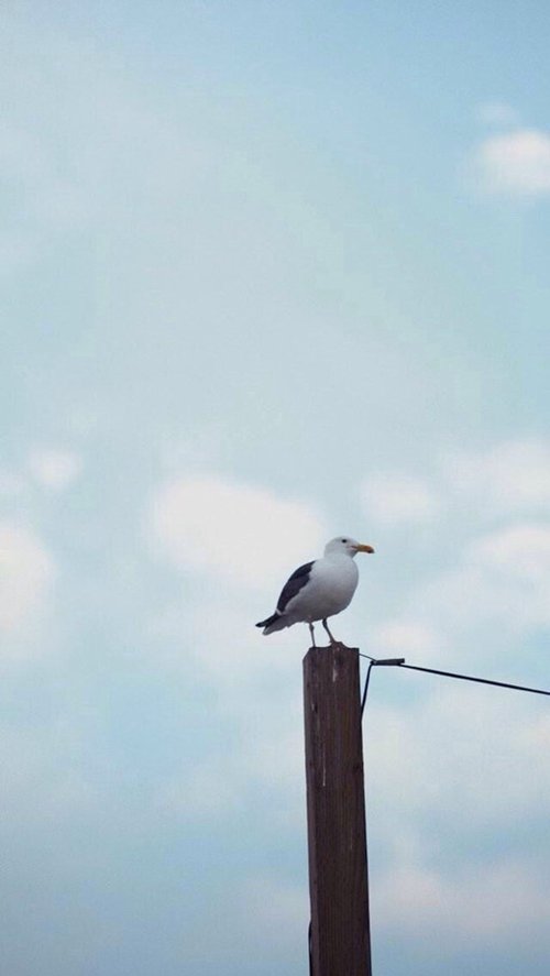 ôֻʱԹô