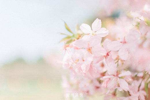 簲˵˵ͼƬ
