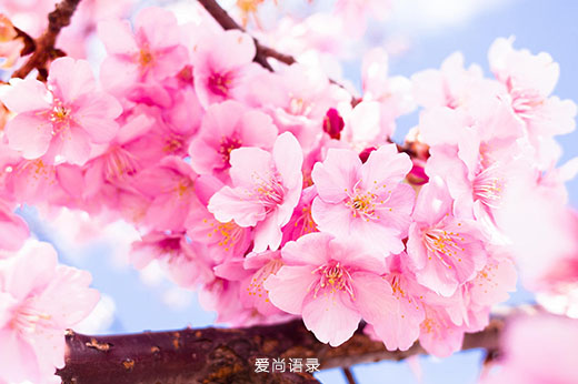 ʺϷȦ