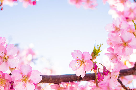 ʺϷȦ