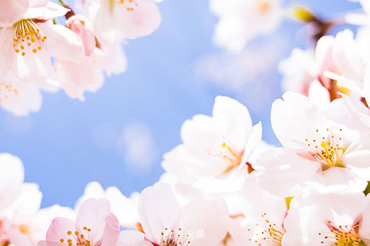ʺϷȦ