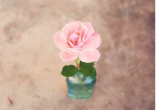 簲ǰĿľӪкżȻ