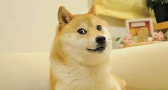 ֱ¼