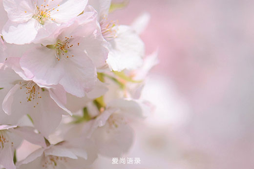 簲˵˵ͼ