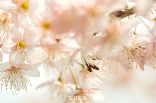 簲־Ψ