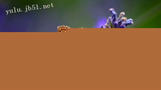 Ҹ