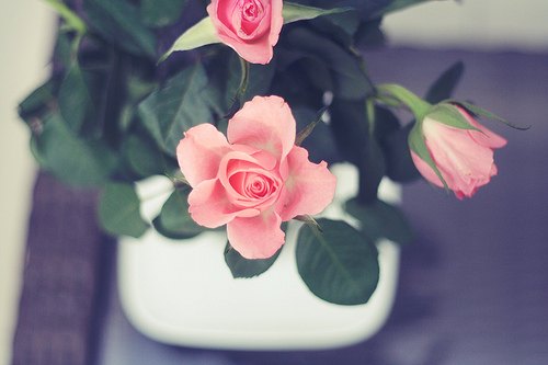 Ҫùȥļ䣬ĥڵԼ (8)