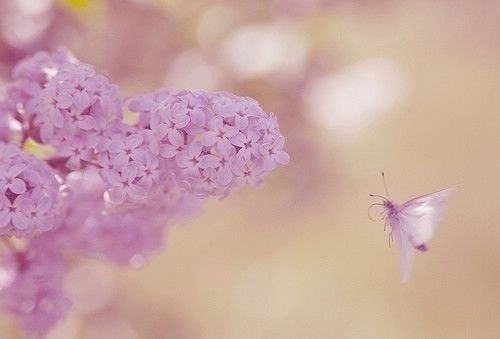 Ҫùȥļ䣬ĥڵԼ (10)