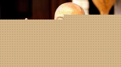 ƴʦ¼