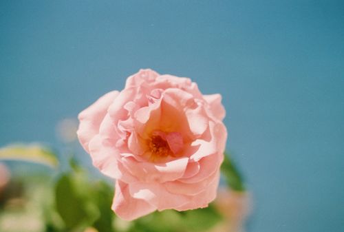 һŲΪȡ (3)