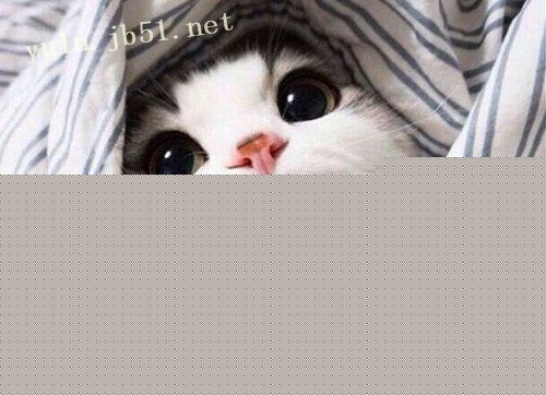 ܱﰮľ