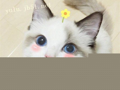 ഺļ