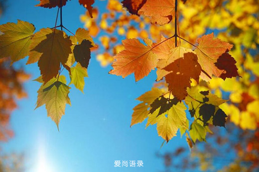 早安心语文字