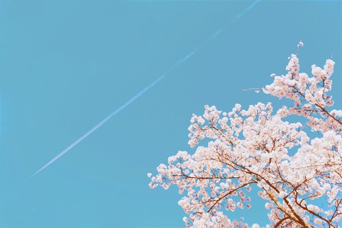 ͯδһֵý (10)
