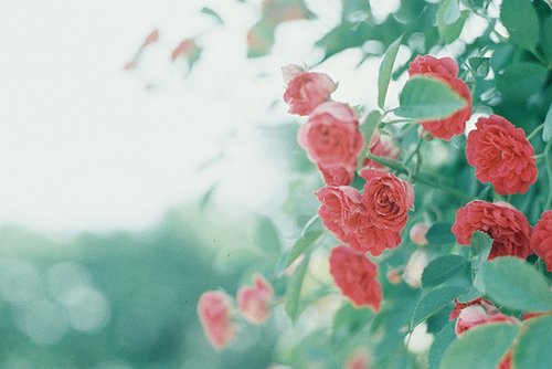 Ըϸˮʱ (2)