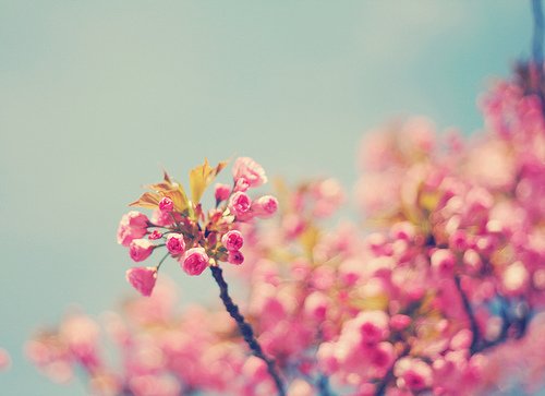 ɽˮԶĵ·վҪԼȥ (2)