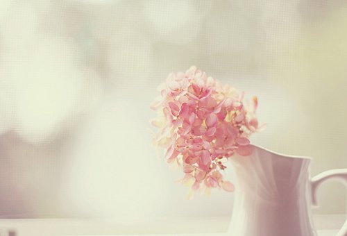 ҵ· (7)