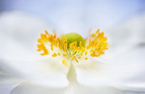 簲໰ȻԸɾһǧ (9)