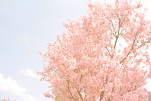 õľǲ˼һ (8)