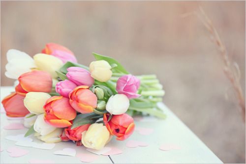 Ϊõˣѵټ (12)