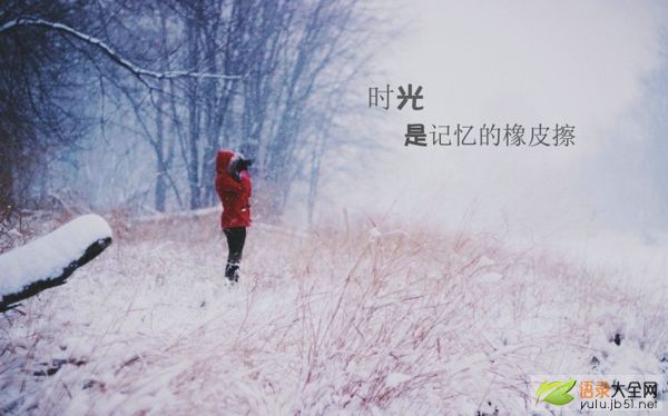 2016011513281991.jpg