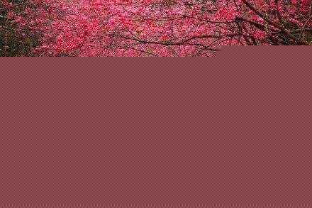 2016011513270055.jpg