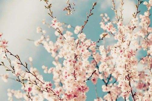 ĩʺＰĻ