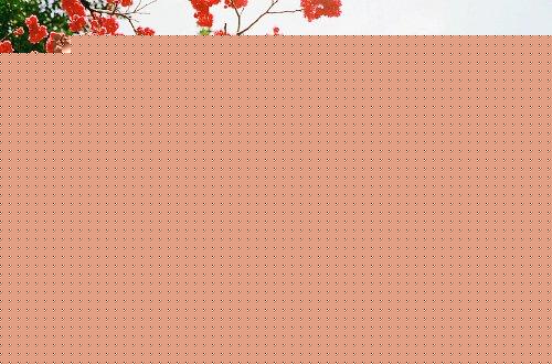 qqռ԰黰