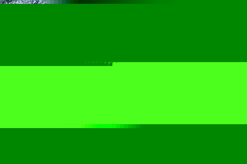 2016022416212216.jpg