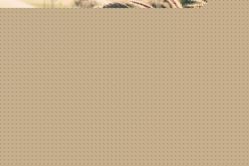 2014100213204619.jpg