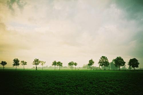 2015053115442450.jpg